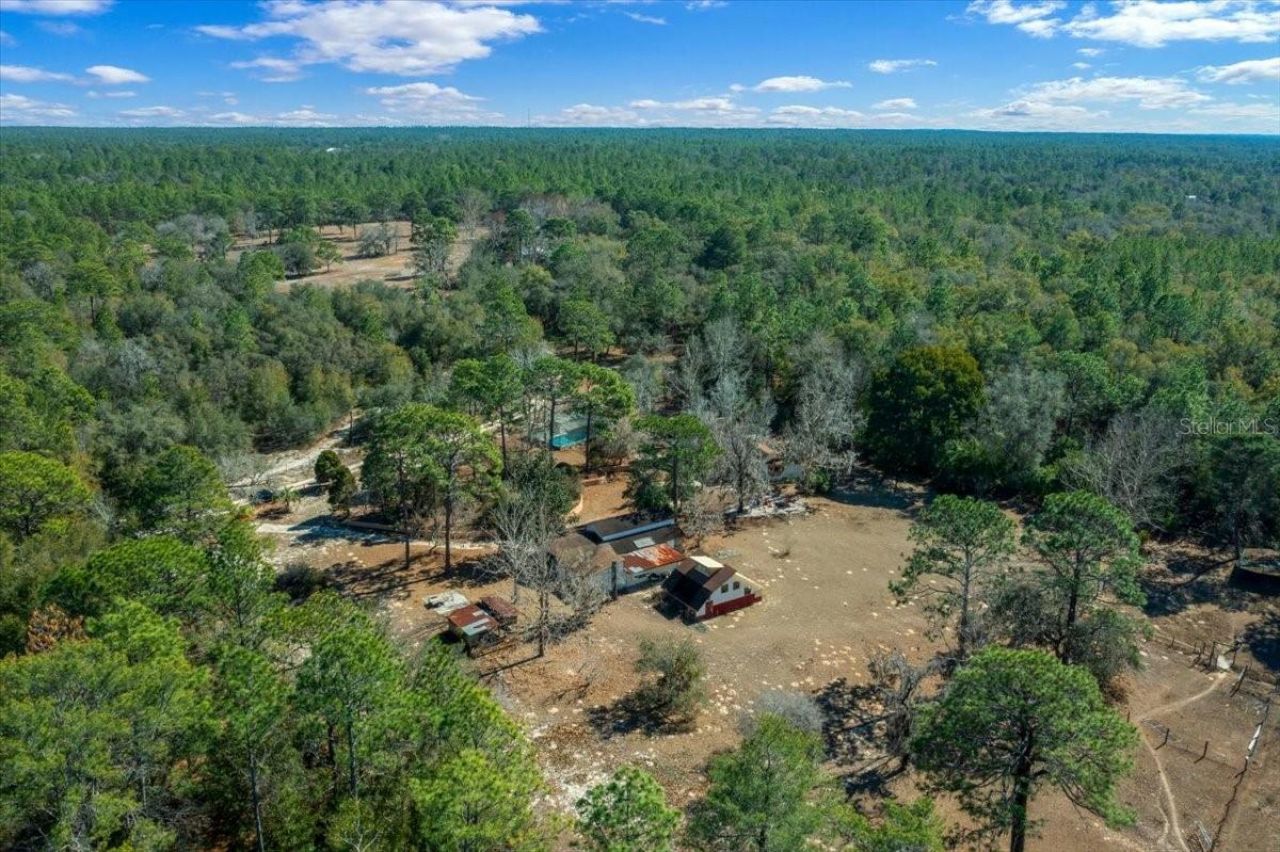 9520 N Holyoak Terrace, Dunnellon, FL 34433 Photo