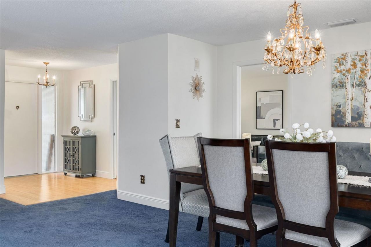 3301 San Gabriel Street, Clearwater, FL 33759 Photo