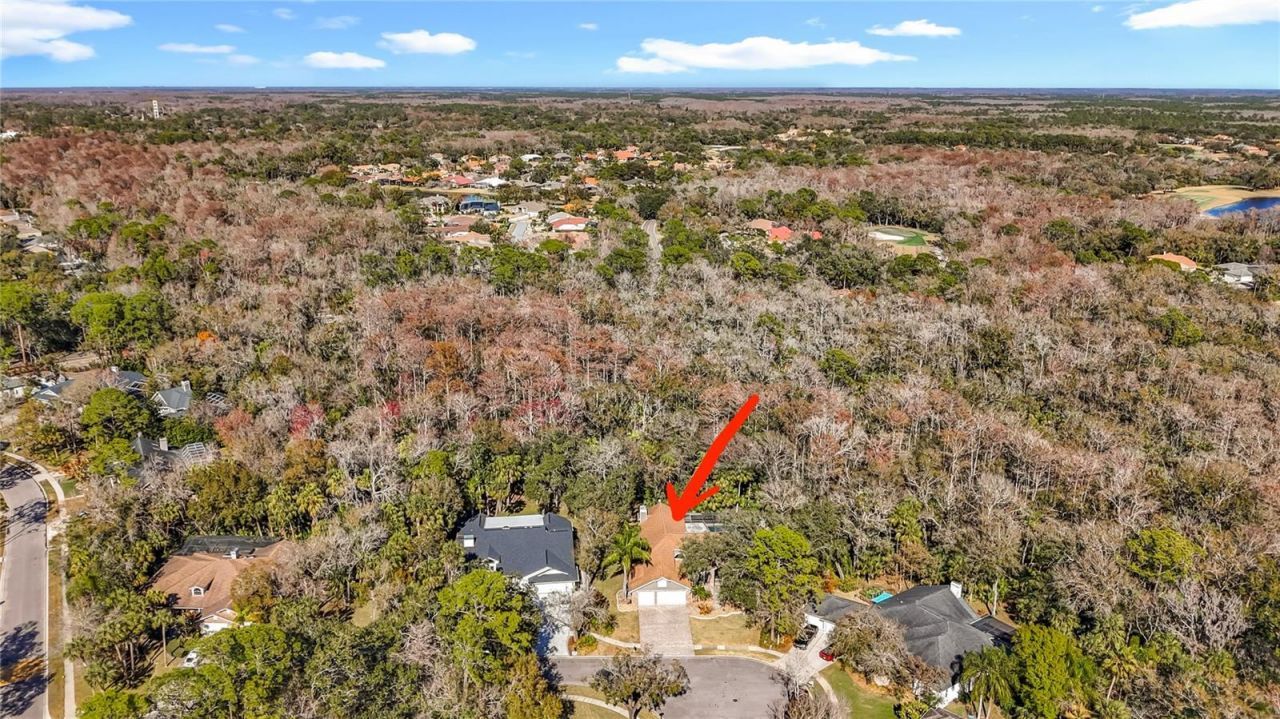 50 Willowood Lane, Oldsmar, FL 34677 Photo