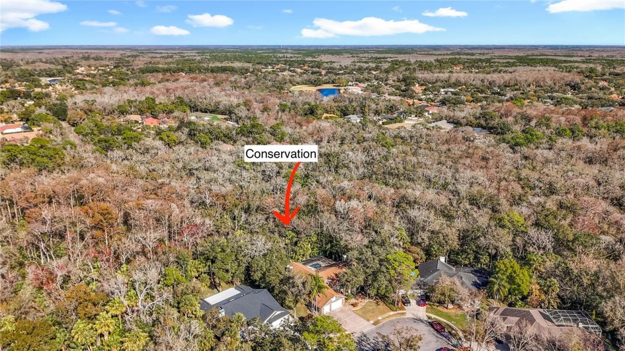 50 Willowood Lane, Oldsmar, FL 34677 Photo