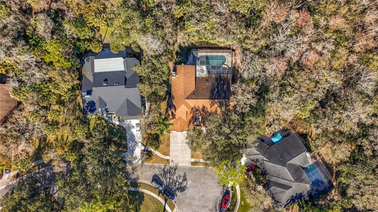 50 Willowood Lane, Oldsmar, FL 34677 Photo