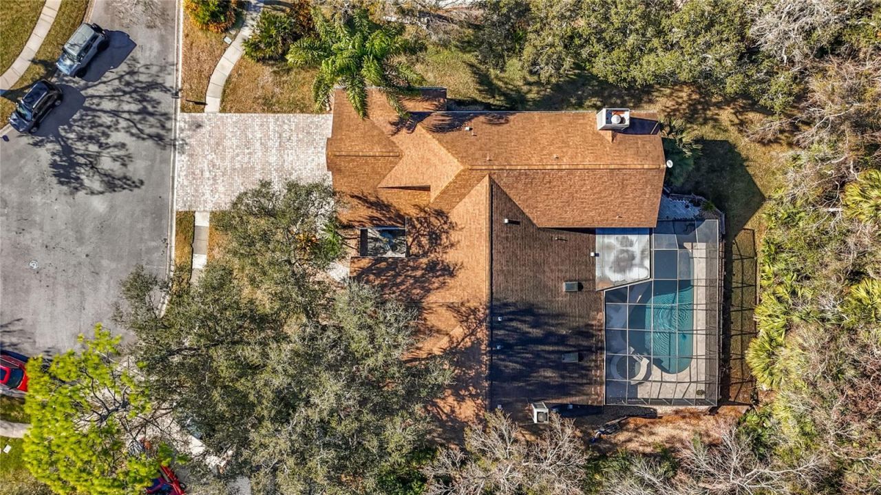 50 Willowood Lane, Oldsmar, FL 34677 Photo