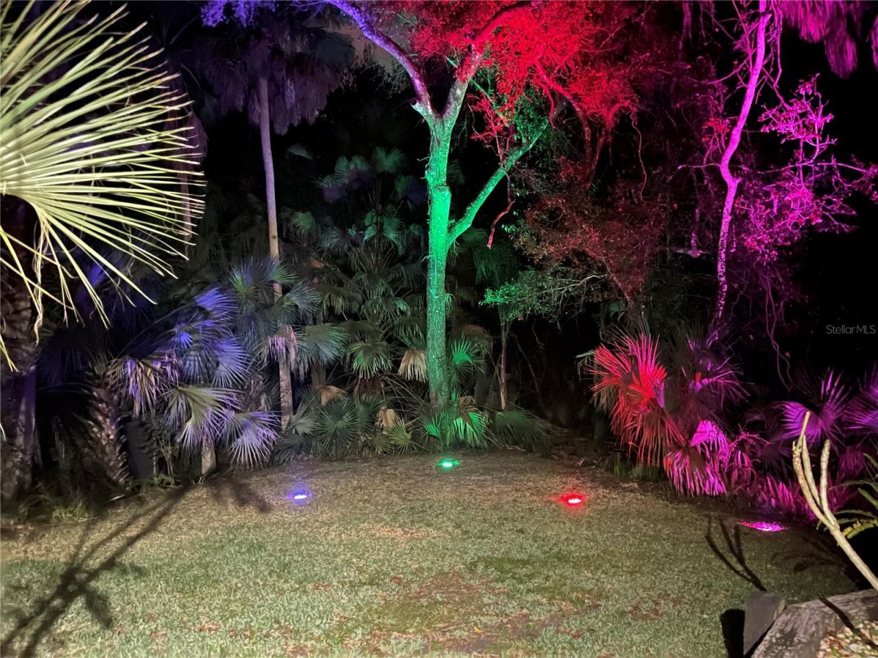 50 Willowood Lane, Oldsmar, FL 34677 Photo