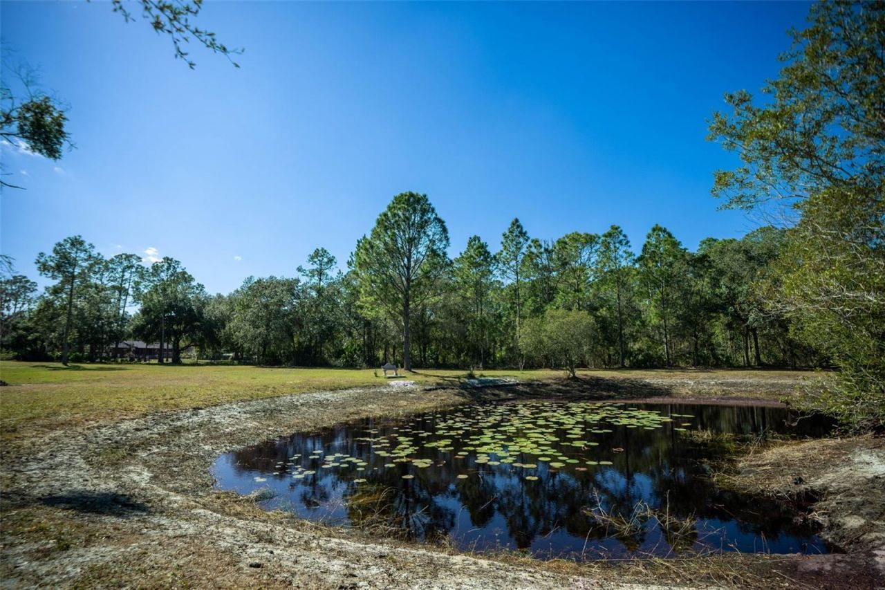 20963 E Colonial Drive, Christmas, FL 32709 Photo