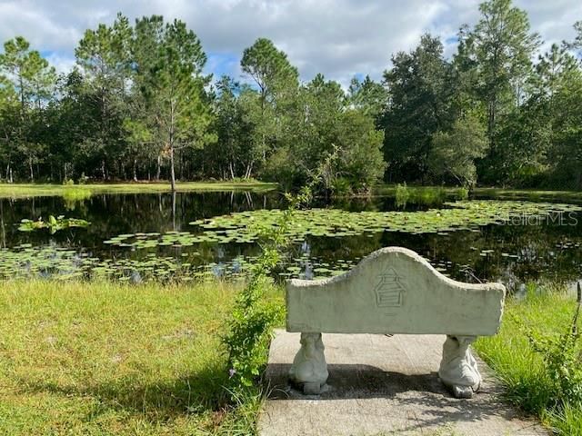 20963 E Colonial Drive, Christmas, FL 32709 Photo