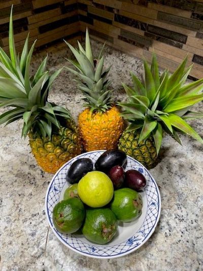 20963 E Colonial Drive, Christmas, FL 32709 Photo