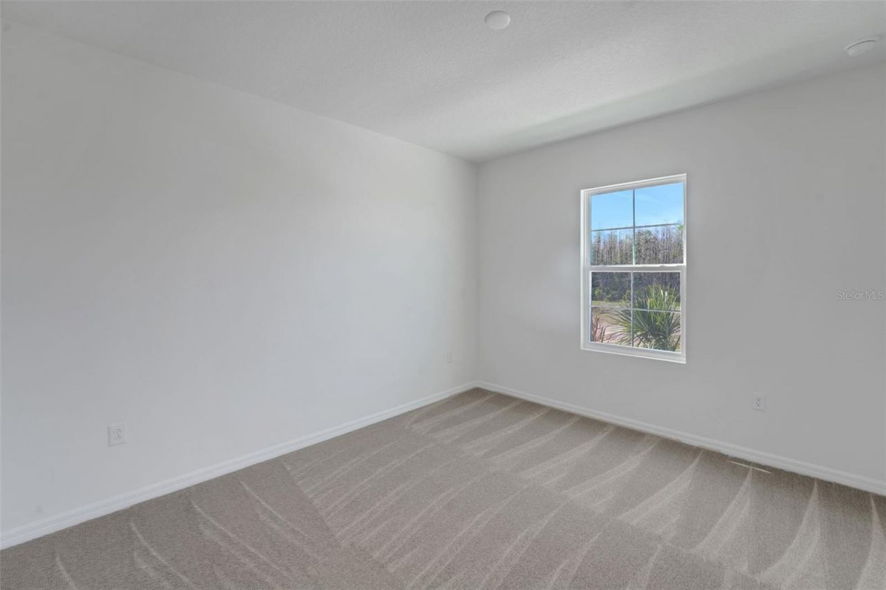 17453 Valleywood Parkway, Land O Lakes, FL 34638 Photo