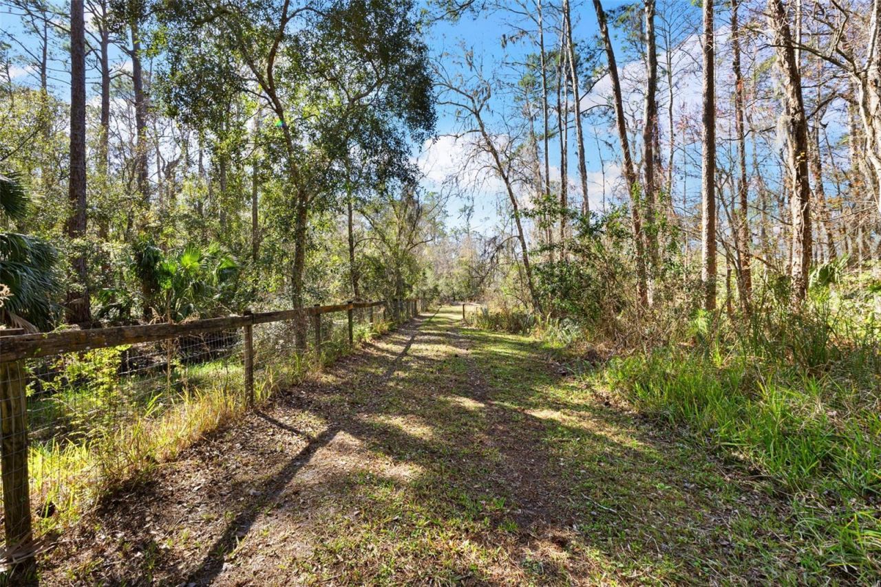 1054 Ranch Road, Tarpon Springs, FL 34688 Photo