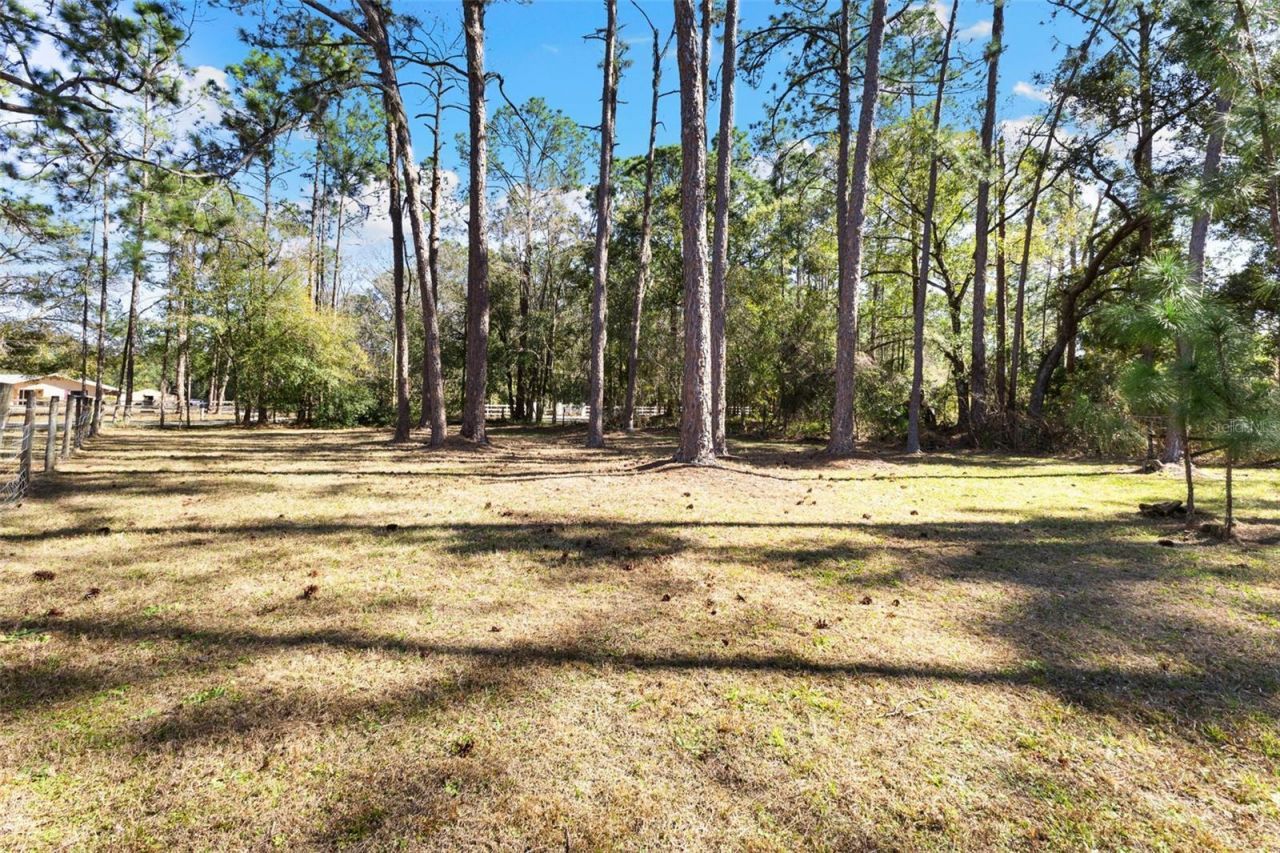 1054 Ranch Road, Tarpon Springs, FL 34688 Photo