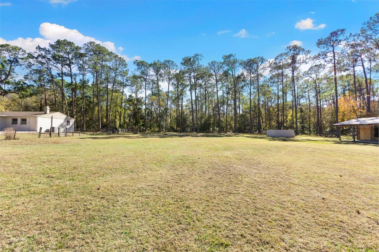 1054 Ranch Road, Tarpon Springs, FL 34688 Photo