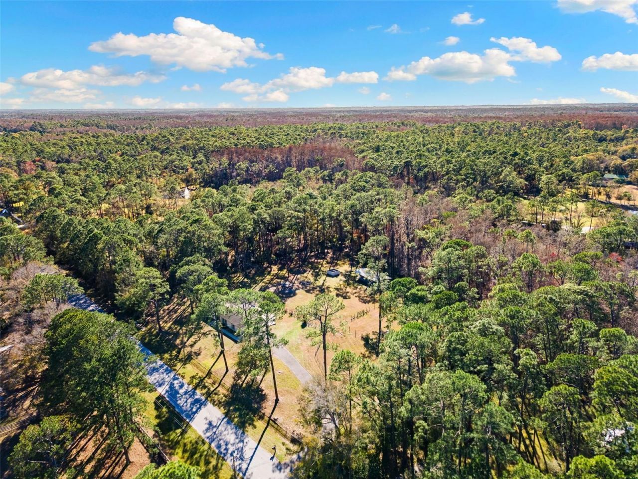 1054 Ranch Road, Tarpon Springs, FL 34688 Photo