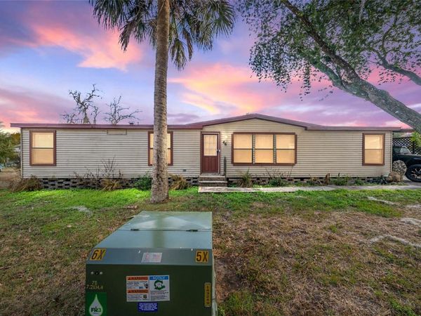 46 WILDERNESS DRIVE, LAKE PANASOFFKEE, FL 33538