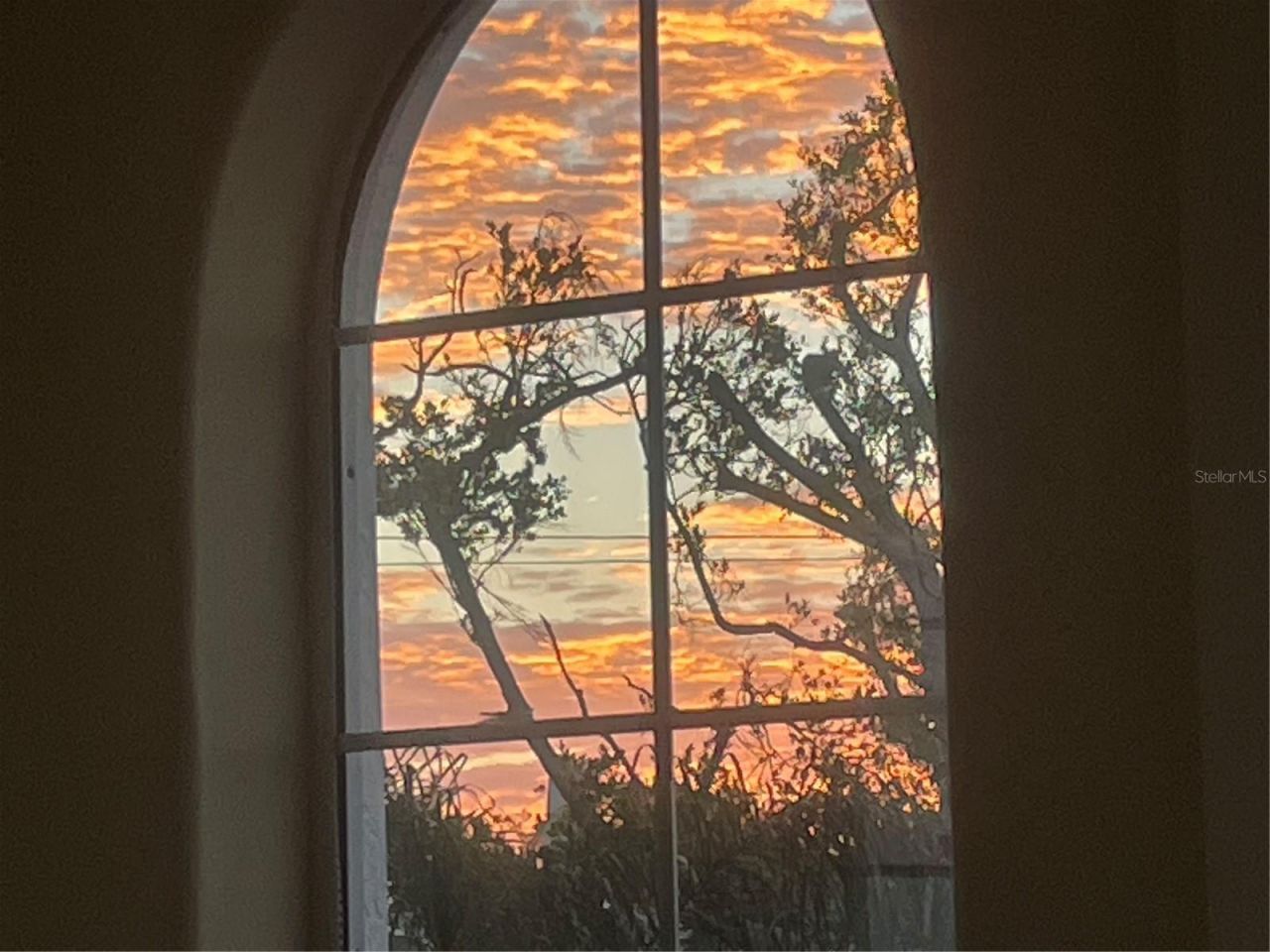 1444 Harbor Drive, Sarasota, FL 34239 Photo