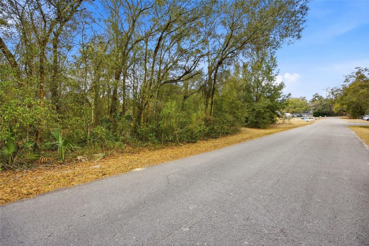 Lot 4 SW 95th Place, Ocala, FL 34476 Main Photo