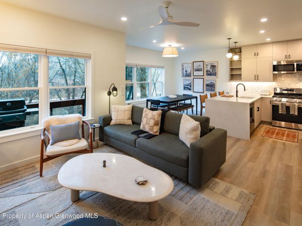 855 Gold Rivers Court, Unit 10d, Basalt, CO 81621