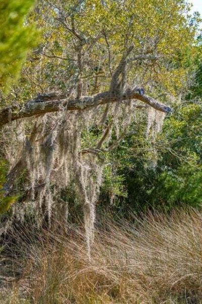 328 Maggie Road Photo 11