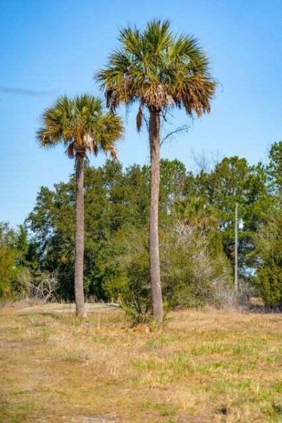 328 Maggie Road Photo 13