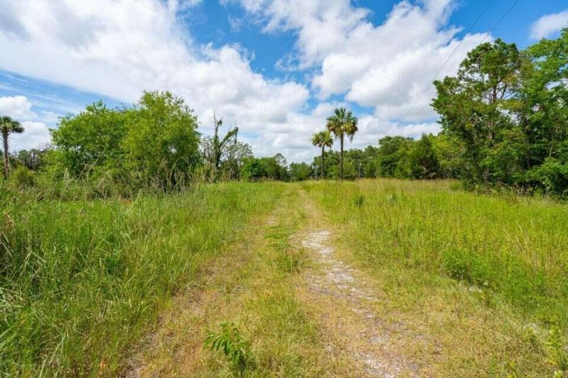 328 Maggie Road Photo 14