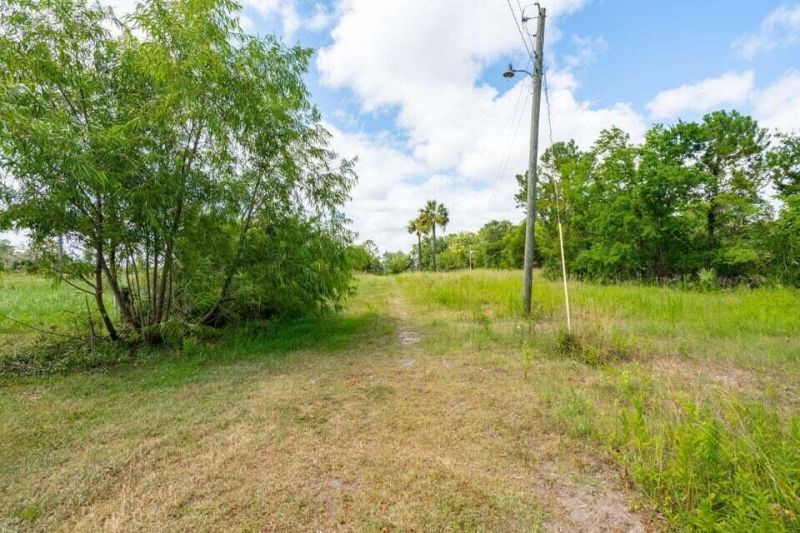 328 Maggie Road Photo 15