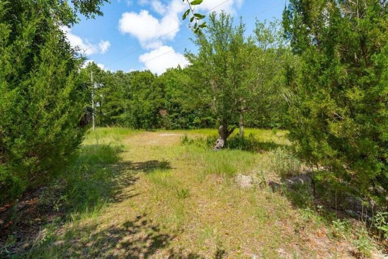 328 Maggie Road Photo 19