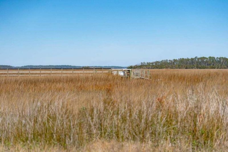 328 Maggie Road Photo 9