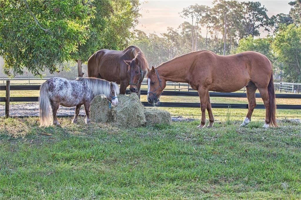 6050 Stringfellow Rd, Saint James City, FL 33956 Photo