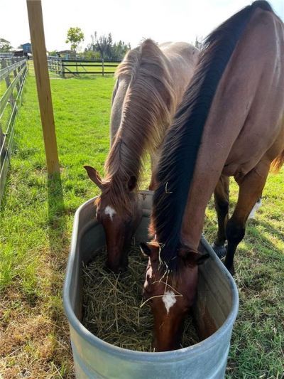 6050 Stringfellow Rd, Saint James City, FL 33956 Photo