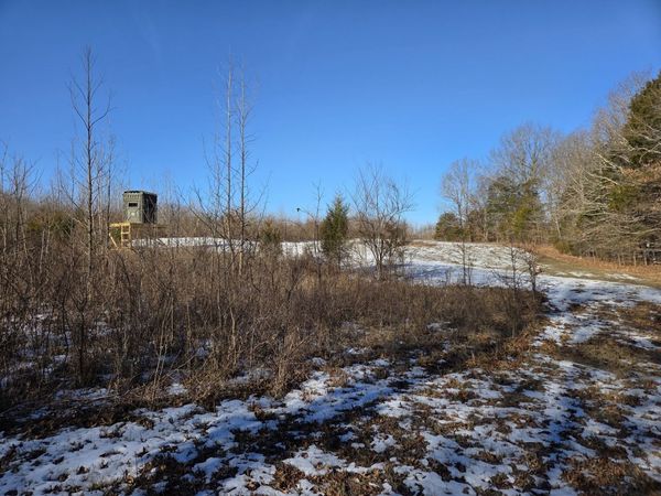 1395 Rock Springs Road, Simpson, IL 62985