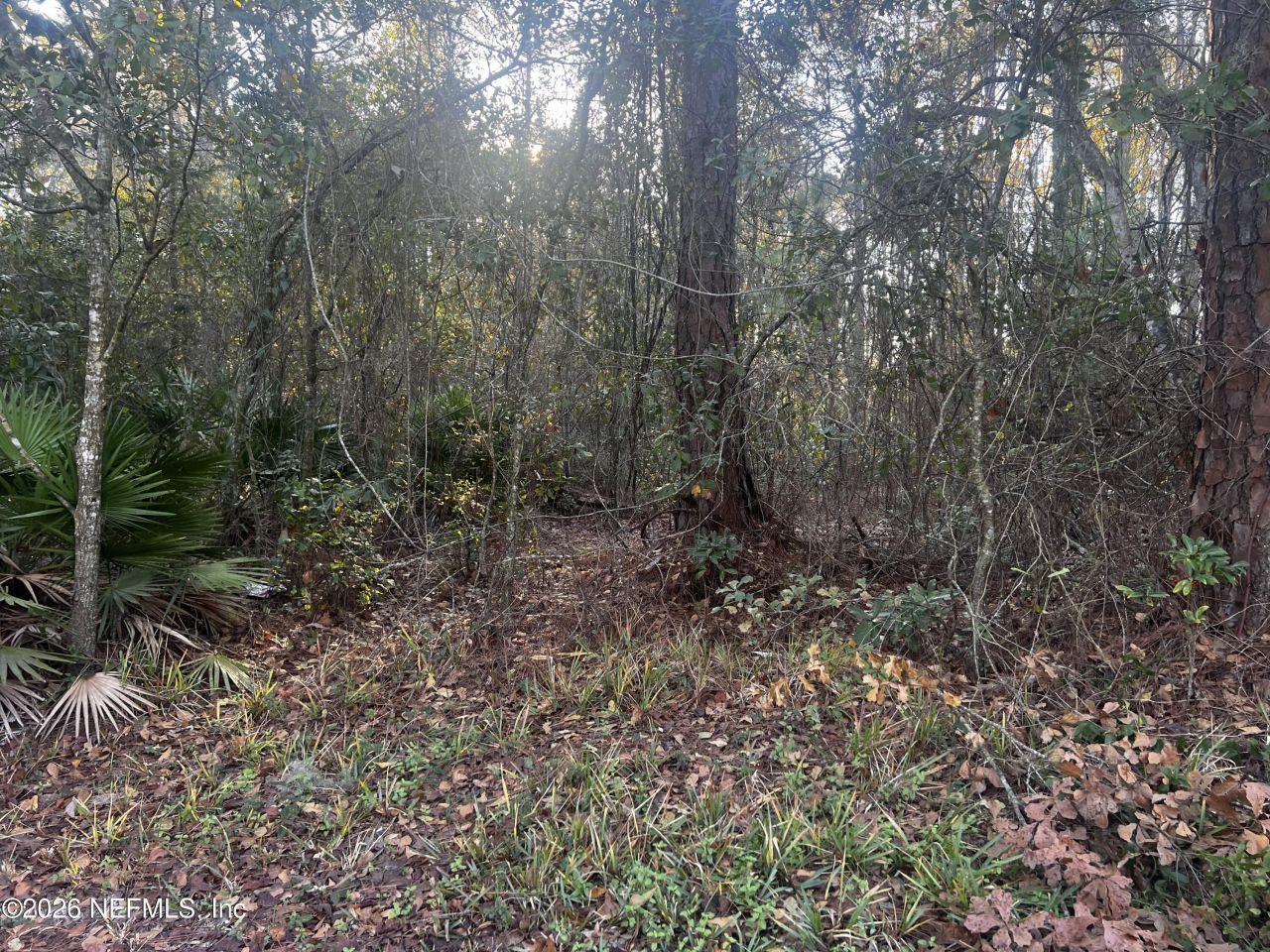 204x State Road 13 N, Fruit Cove, FL 32259 Photo