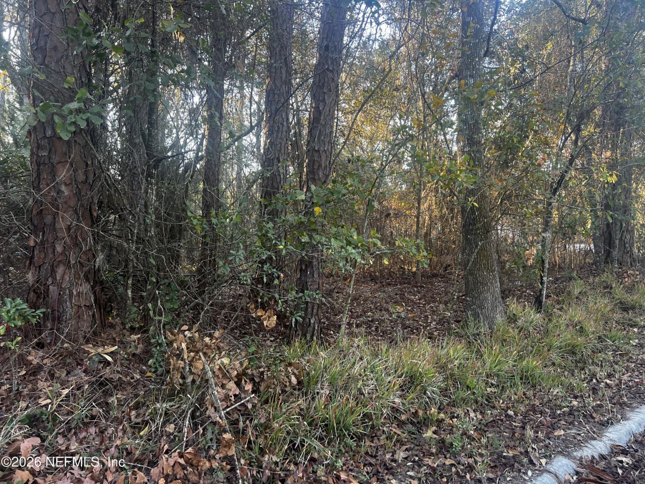 204x State Road 13 N, Fruit Cove, FL 32259 Photo