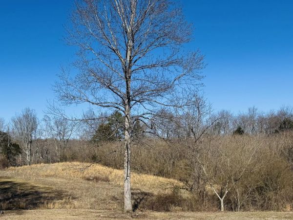 409 Carroll Hollow Rd, Clinton, TN 37716