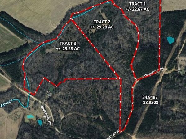 County Road 310 , Tiplersville, MS 38674