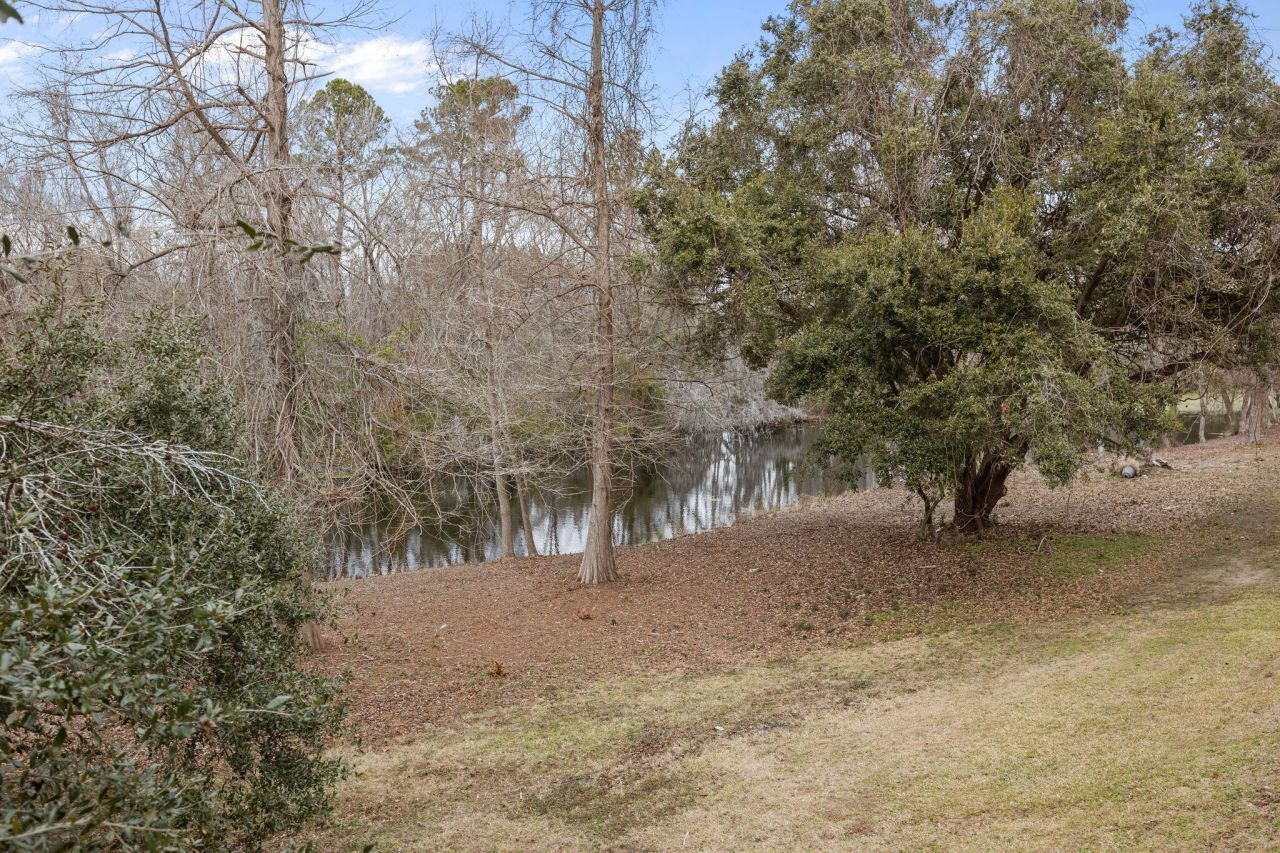 9057 Parlor Drive Photo 22