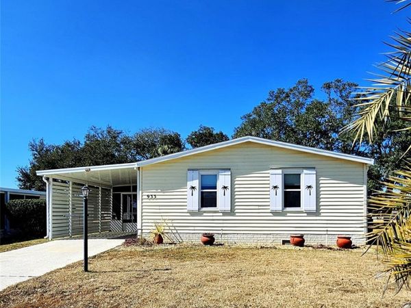 933 OLEANDER STREET, LADY LAKE, FL 32159