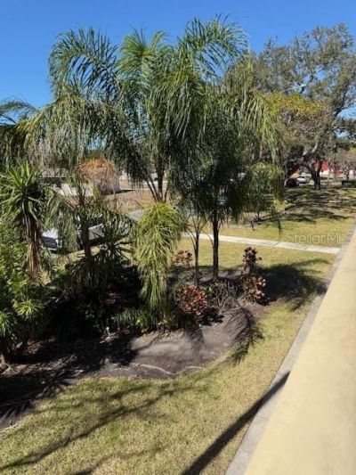 1051 79th Avenue N, Unit 202, Saint Petersburg, FL 33702 Photo