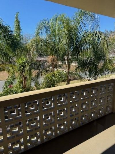 1051 79th Avenue N, Unit 202, Saint Petersburg, FL 33702 Photo