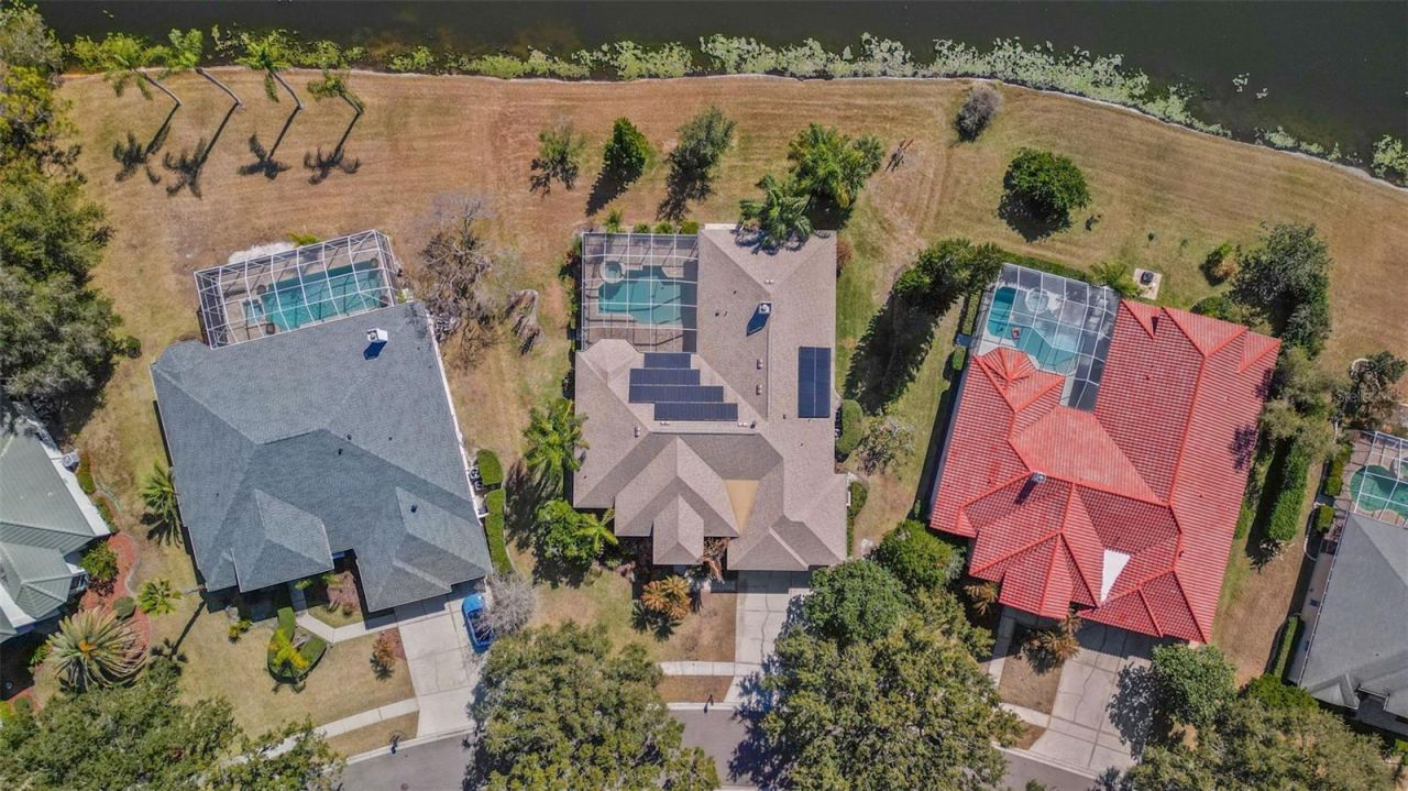 5031 Wesley Drive, Tampa, FL 33647 Main Photo