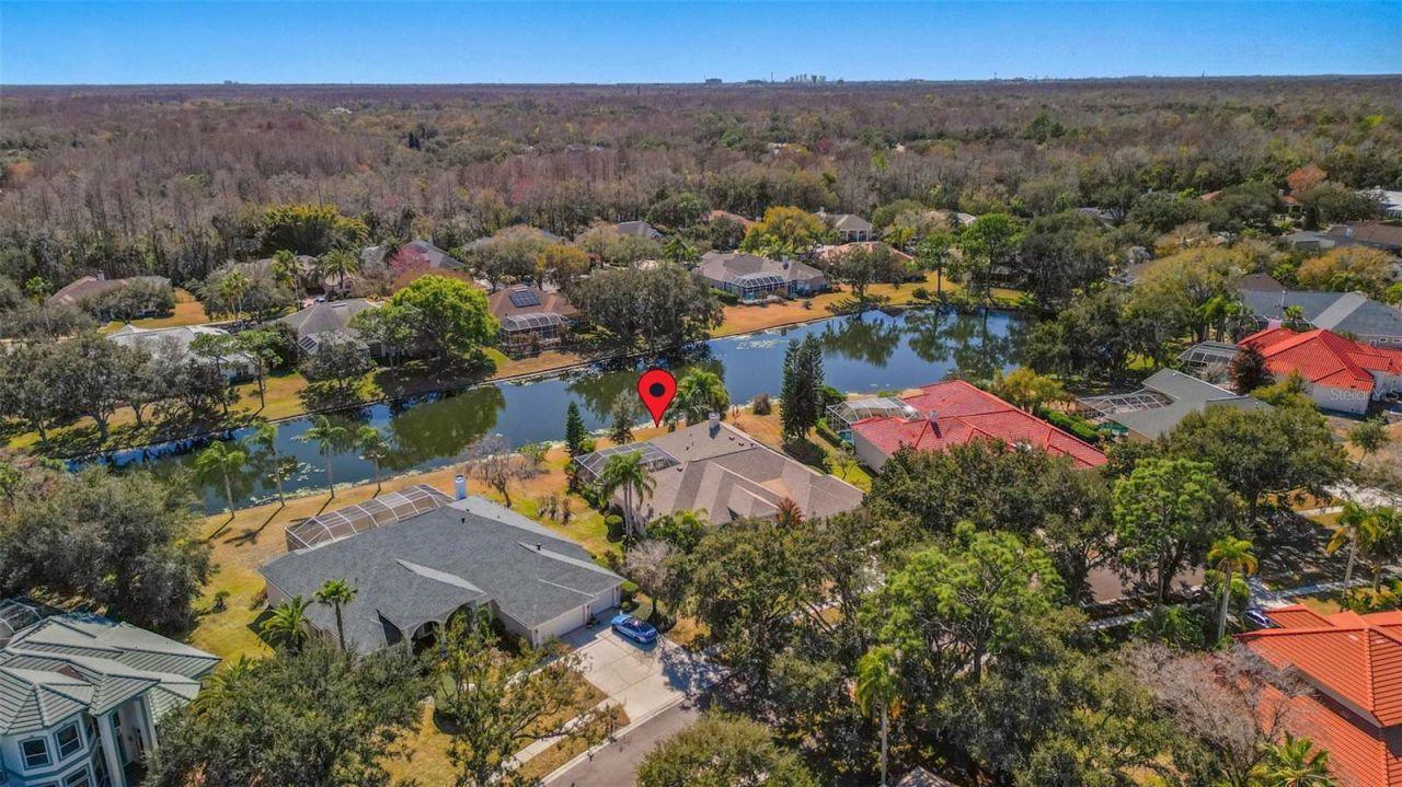 5031 Wesley Drive, Tampa, FL 33647 Photo