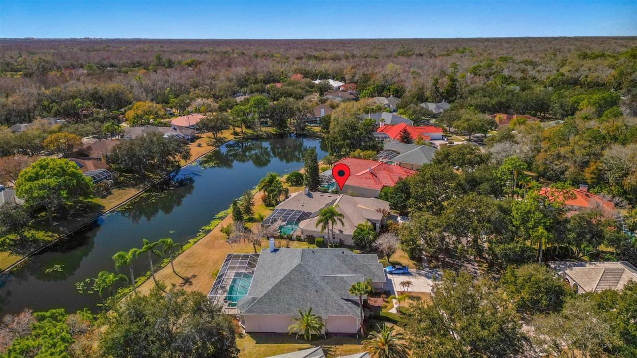 5031 Wesley Drive, Tampa, FL 33647 Photo