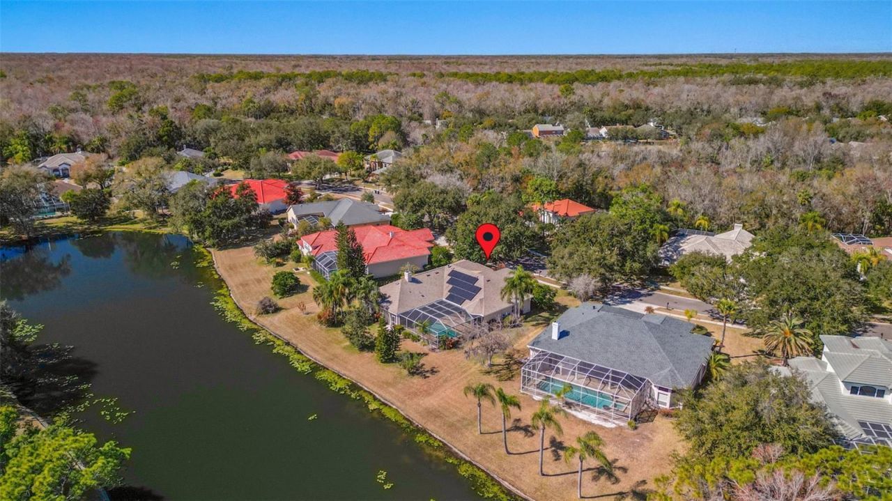 5031 Wesley Drive, Tampa, FL 33647 Photo