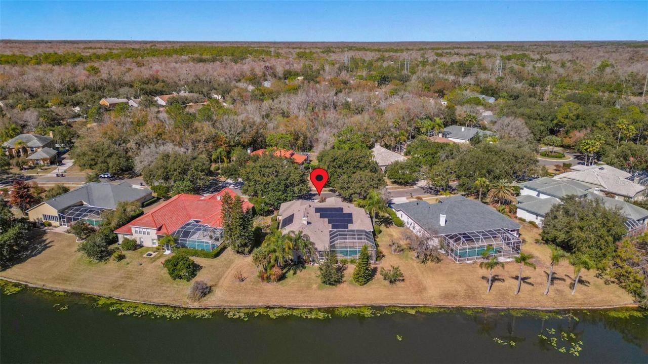 5031 Wesley Drive, Tampa, FL 33647 Photo