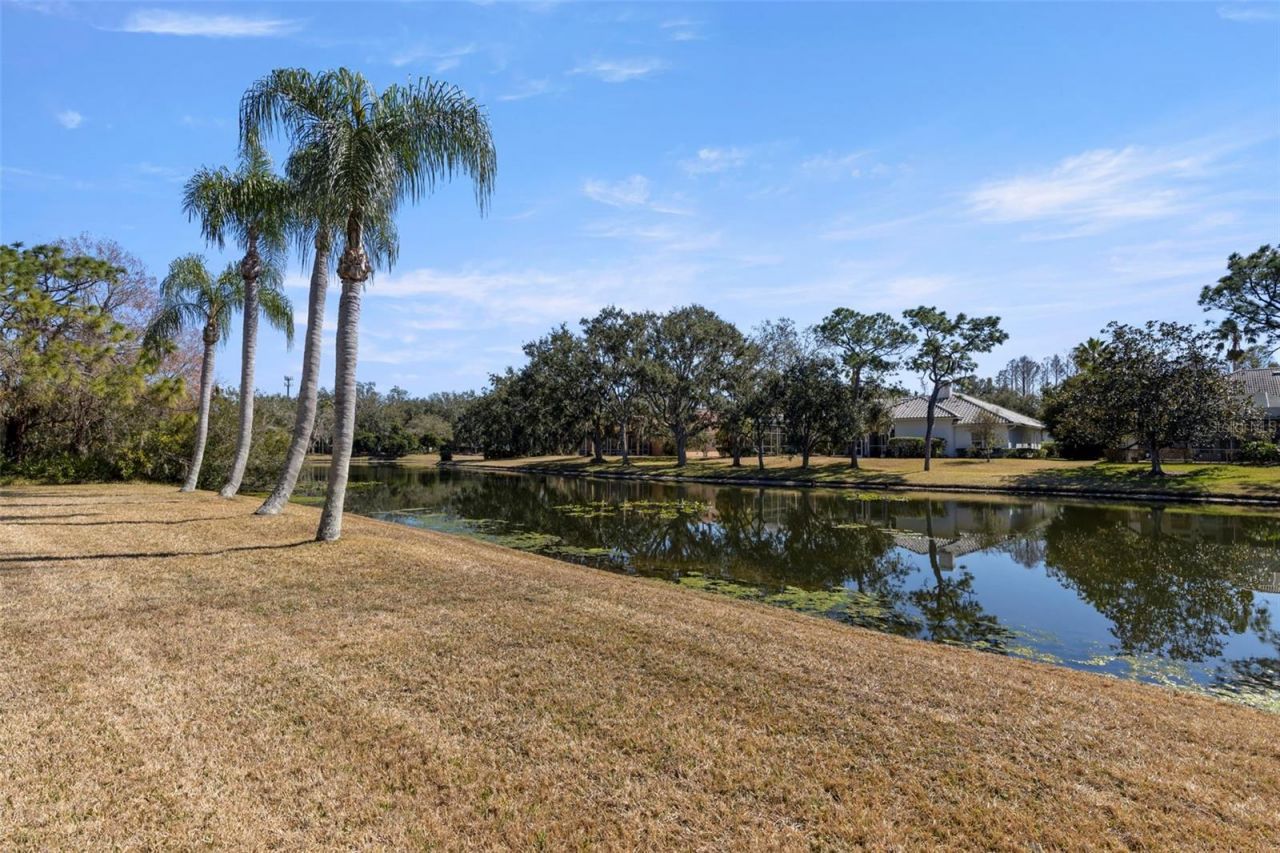 5031 Wesley Drive, Tampa, FL 33647 Photo