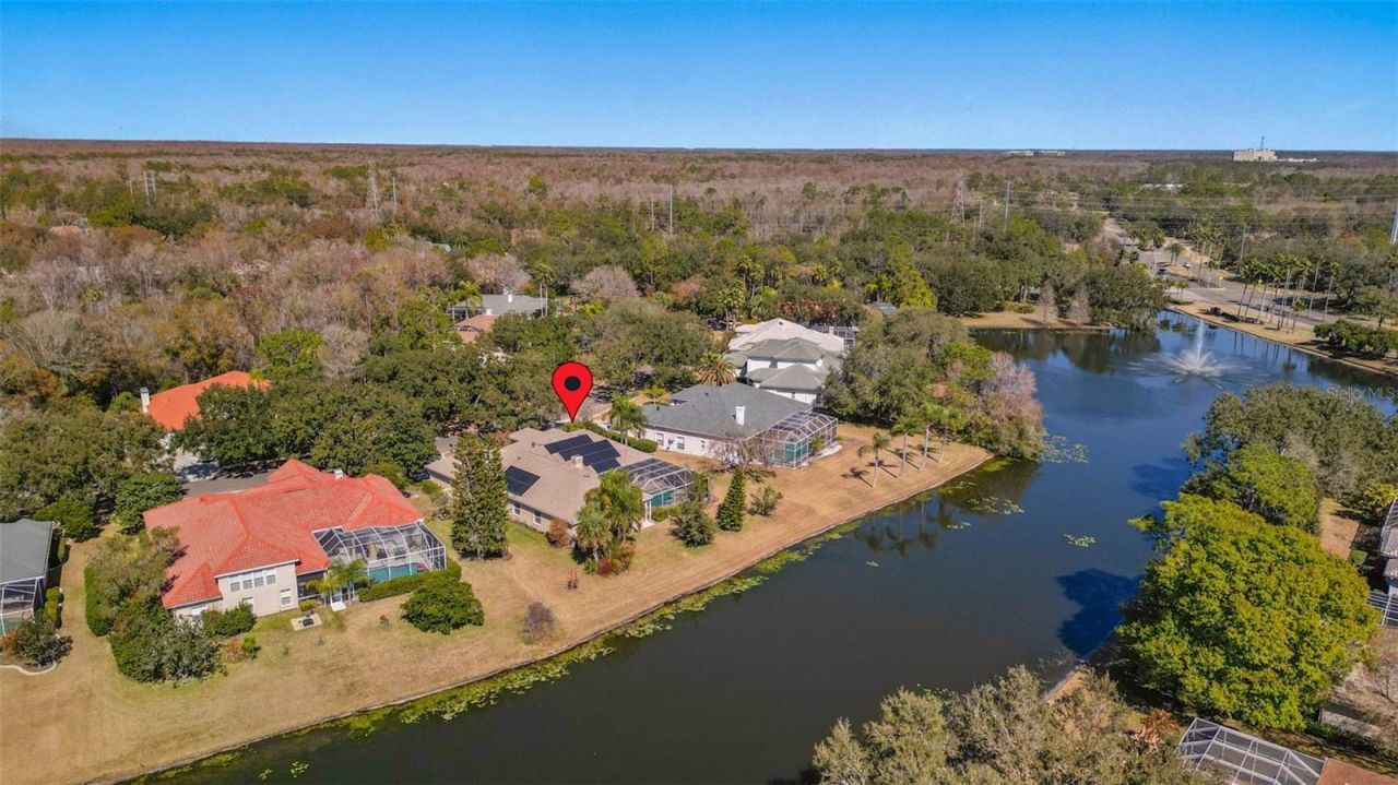 5031 Wesley Drive, Tampa, FL 33647 Photo