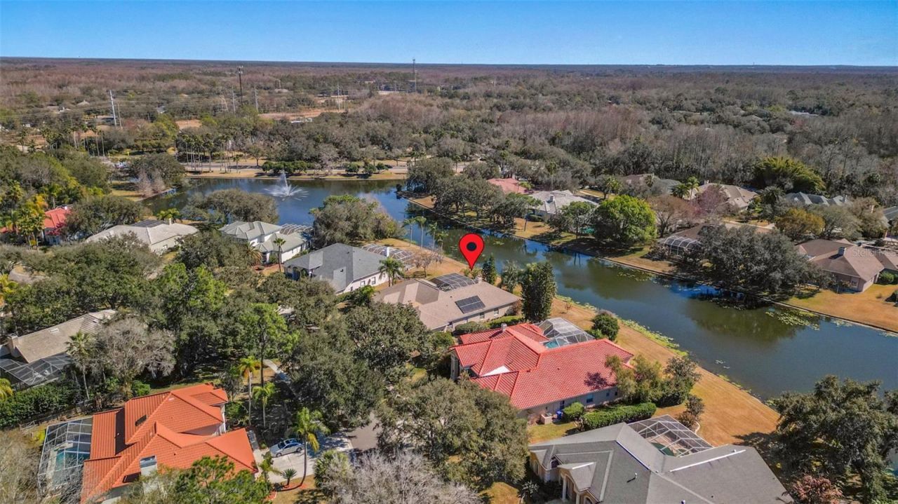 5031 Wesley Drive, Tampa, FL 33647 Photo