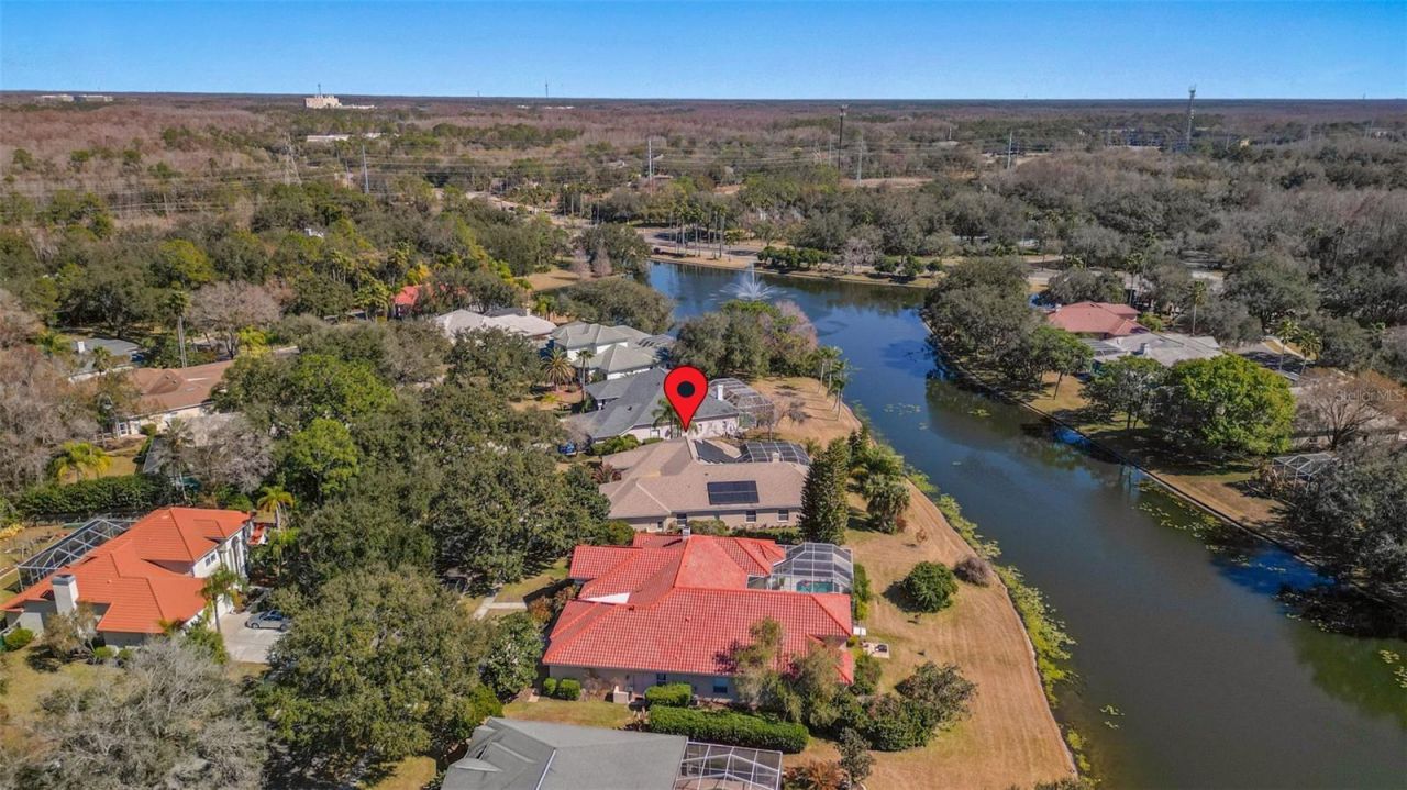 5031 Wesley Drive, Tampa, FL 33647 Photo