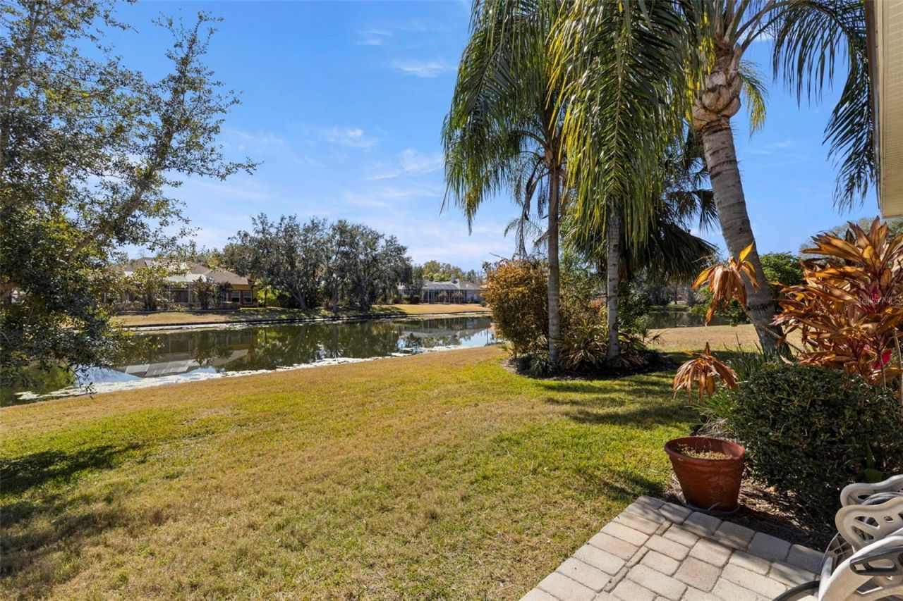 5031 Wesley Drive, Tampa, FL 33647 Photo