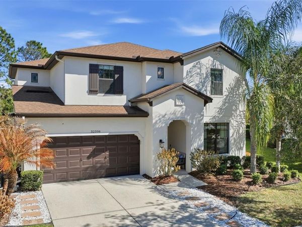 32306 GARDEN ALCOVE LOOP, WESLEY CHAPEL, FL 33545