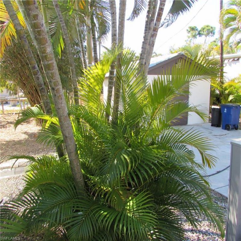 5923 Bomar Ln , Bokeelia, FL 33922 Photo