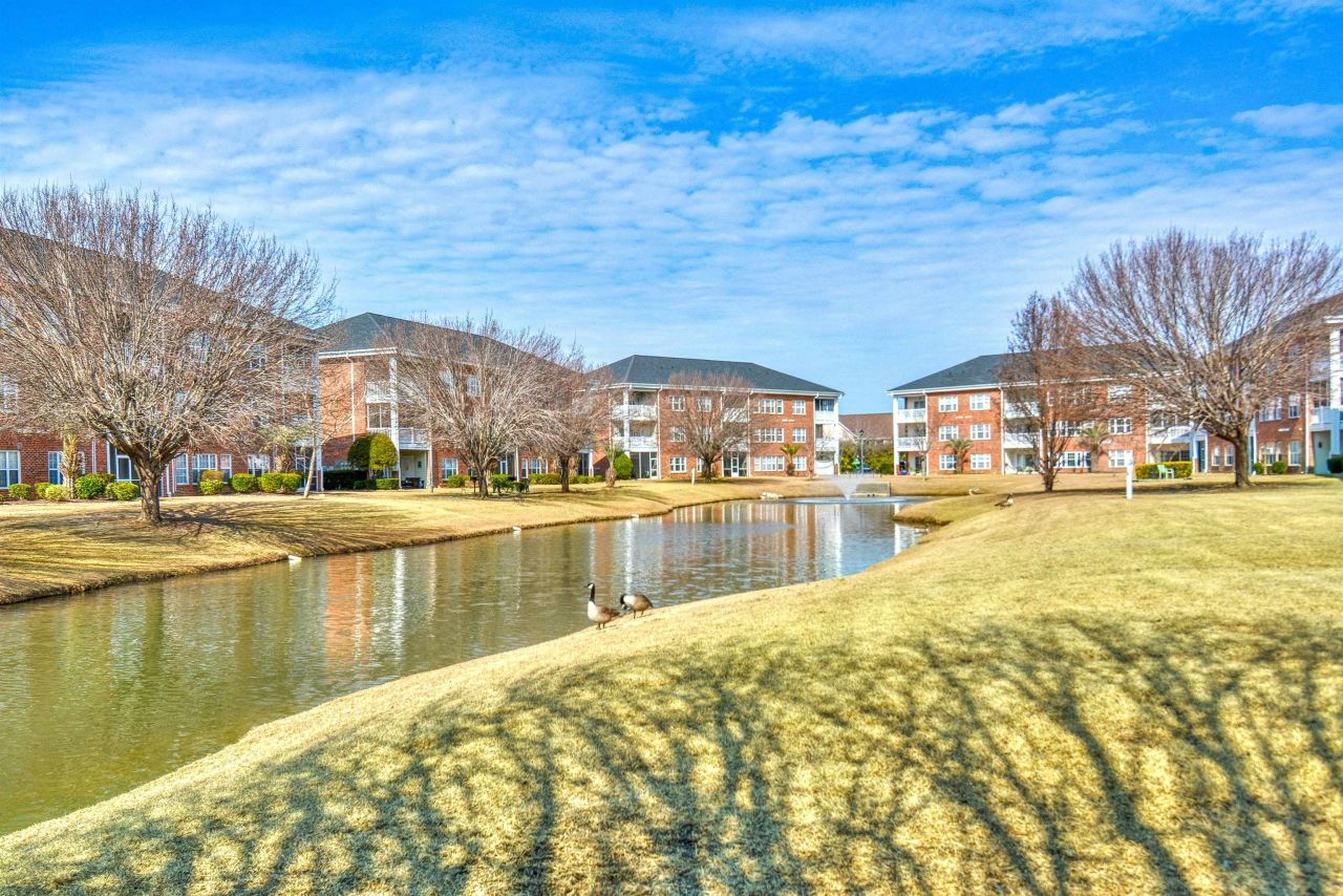 3919 Gladiola Ct. Photo 38