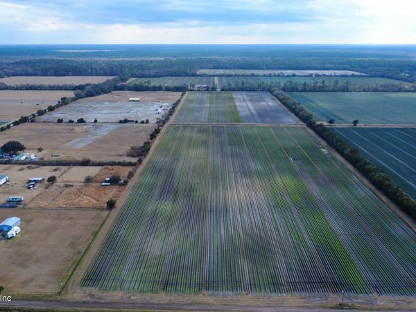 175 COUNTY ROAD 108, Bunnell, FL 32110